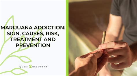 Marijuana addiction symptoms and treatment .